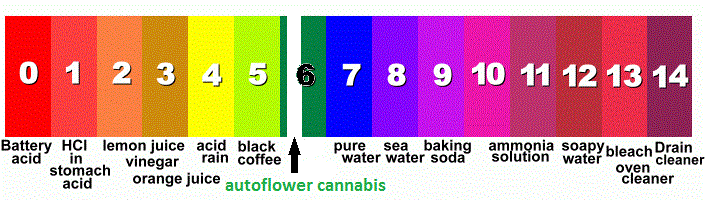 Ph Chart Cannabis