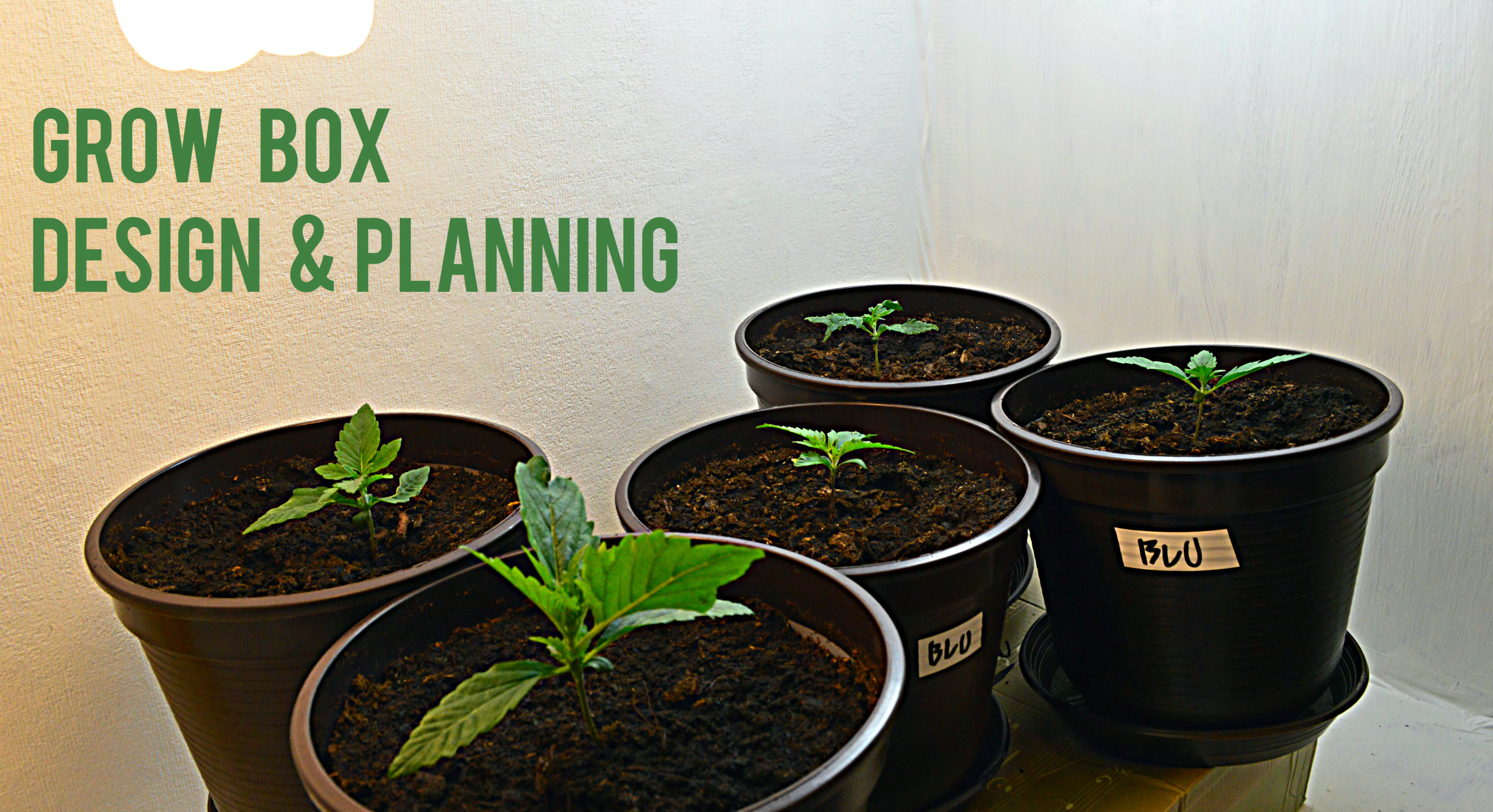 Autoflower Grow Box Design Planning Autoflowering Cannabis Blog